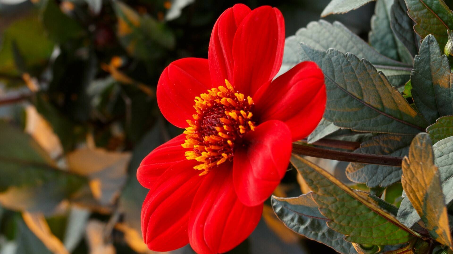 Verwer_Booth_4|Verwer_Booth__1|Verwer_Booth_3